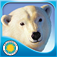 Polar Bear Horizon -